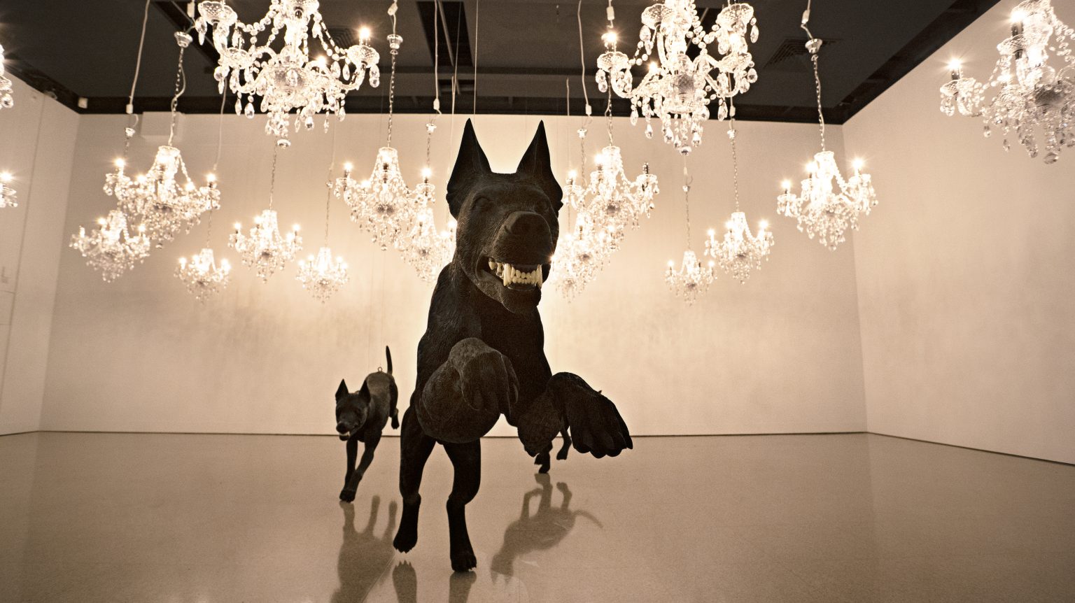 Abdul-Rahman Abdullah: The Dogs x Dark Mofo